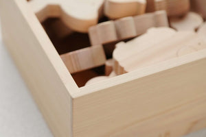 Animal Plaza - Boxed