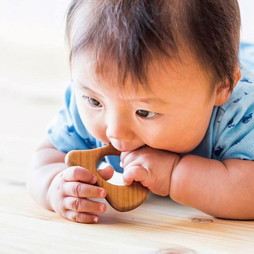 Baby Teether
