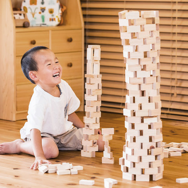 Classic Building Blocks