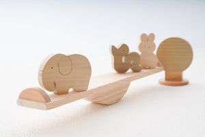 Seesaw Toy