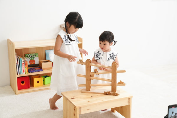 Wooden Rolling Animals