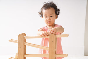 Wooden Rolling Animals