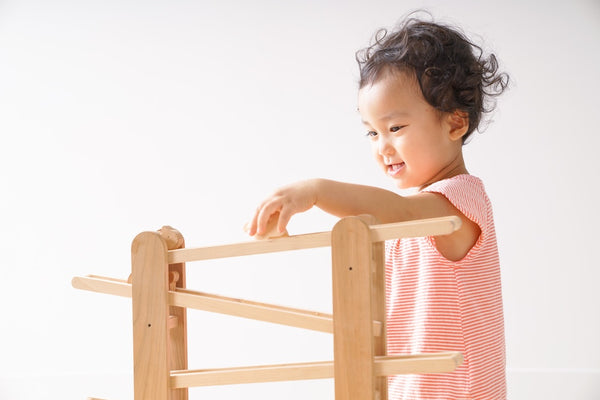 Wooden Rolling Animals